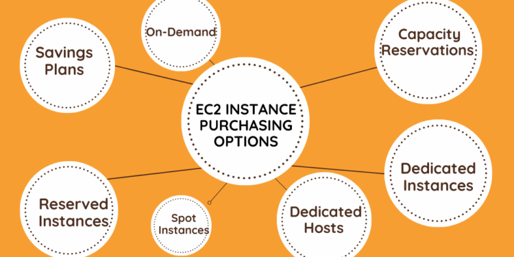 Lựa chọn AWS EC2